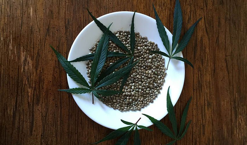 Where To Buy Cannabis Seeds In Malta